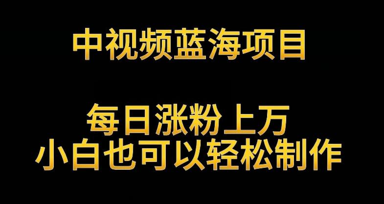 中视频蓝海项目，解读英雄人物生平，每日涨粉上万，小白也可以轻松制作，月入过万不是梦【揭秘】-云创网