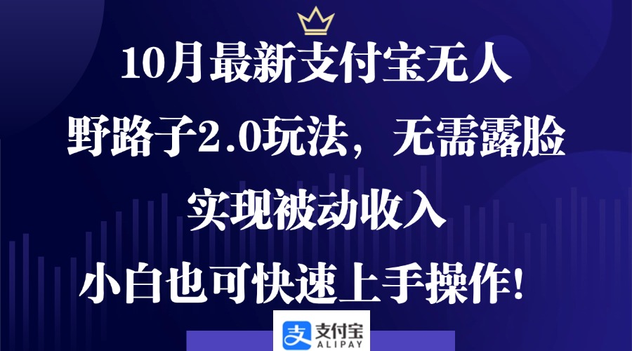 10月最新支付宝无人野路子2.0玩法，无需露脸，实现被动收入，小白也可…-云创网