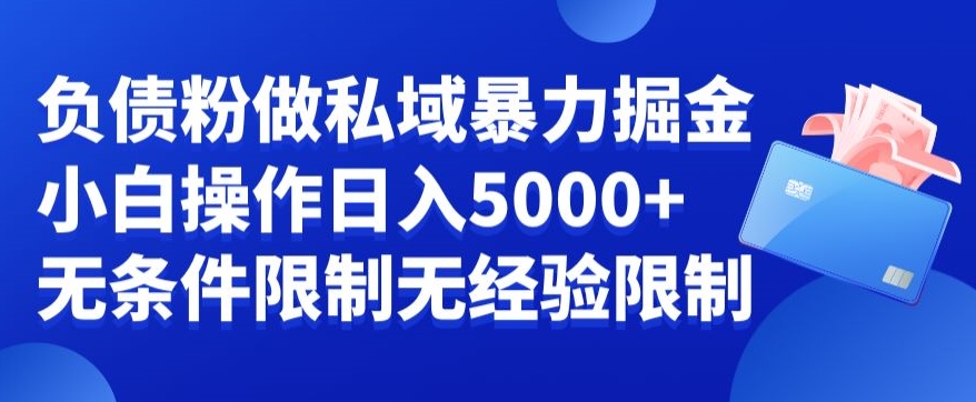 负债粉私域暴力掘金，小白操作入5000，无经验限制，无条件限制【揭秘】-云创网