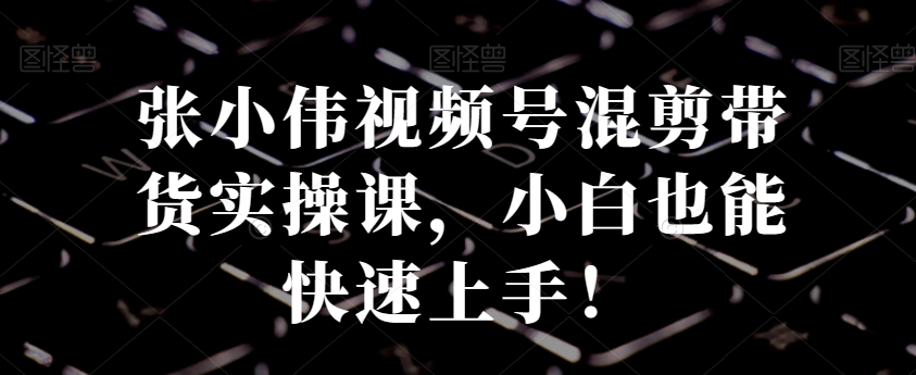 张小伟视频号混剪带货实操课，小白也能快速上手！-云创网