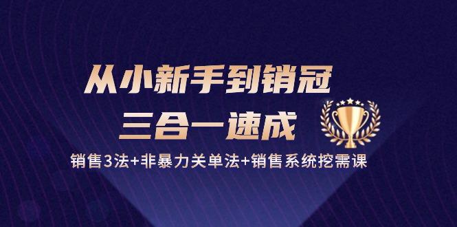 从小新手到销冠 三合一速成：销售3法+非暴力关单法+销售系统挖需课 (27节-云创网