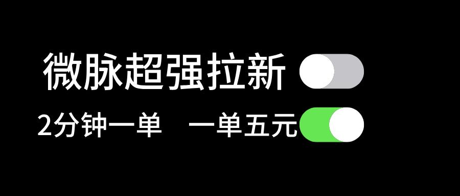 微脉超强拉新， 两分钟1单， 一单利润5块，适合小白-云创网