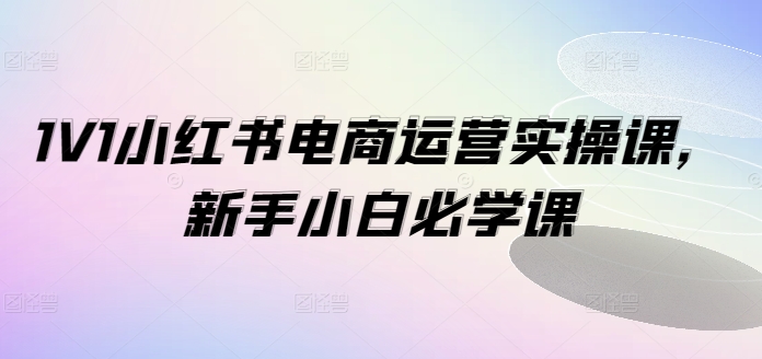 1V1小红书电商运营实操课，新手小白必学课-云创网