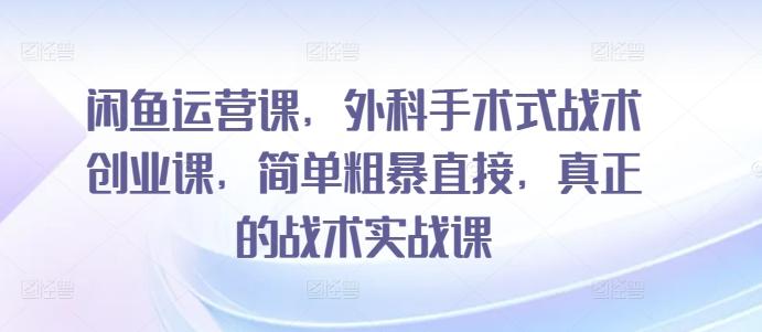 闲鱼运营课，外科手术式战术创业课，简单粗暴直接，真正的战术实战课-云创网