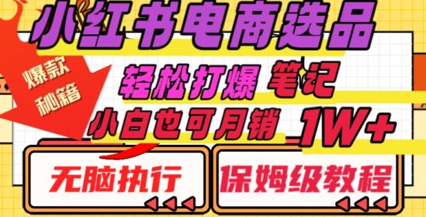 小红书电商爆款选品秘籍，帮你轻松打爆笔记，小白也可轻松月销10000+-云创网