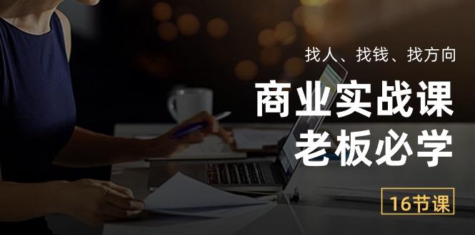 商业实战课【老板必学】：找人、找钱、找方向(16节课-云创网