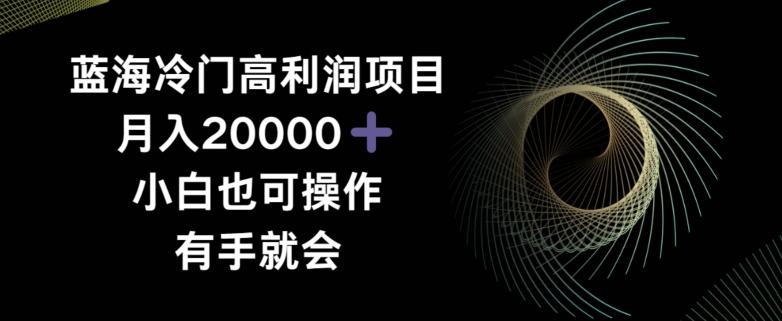 蓝海冷门高利润项目月入2000，小白也可操作有手就会-云创网
